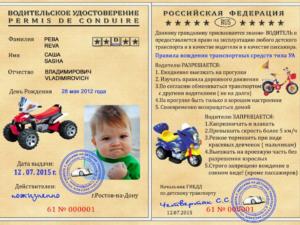 Воспитанникам евпаторийского детского сада получили водительские удостоверения юного велосипедиста
