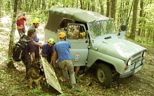 Спасатели МЧС эвакуировали с горы в Судаке туристку, сломавшую ногу