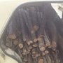 Жители Бахчисарая вырубили 20 кустов можжевельника