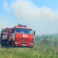 Крымские спасатели оказывают помощь в ликвидации природного пожара в Ленинском районе