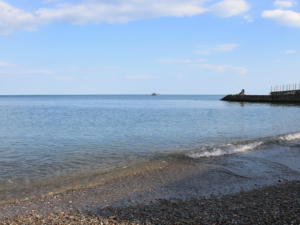 На территории Крыма в 2018 году функционирует 431 пляж, — Волченко