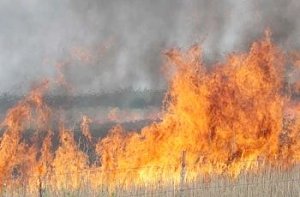 В Крыму участились возгорания травы