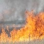 В Крыму участились возгорания травы