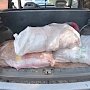 В Ялте пресекли незаконную транспортировку мяса