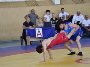 Сборная Крыма завоевала десять наград на чемпионате ЮФО по вольной борьбе