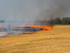 Пожар в Саках распространился на 10 гектаров