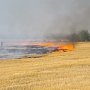 Пожар в Саках распространился на 10 гектаров