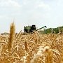 Крымским аграриям выделят субсидии