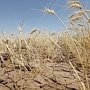 В двух крымских районах введён режим засухи