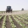 Крымские фермеры повлияют на стоимость отдыха в Крыму