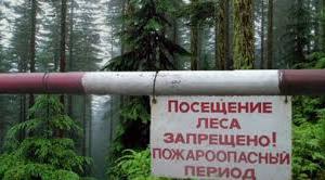 Минприроды Крыма призывает граждан соблюдать ограничение на посещение леса в республике