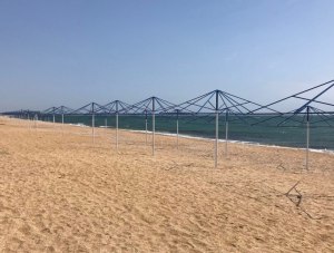 Пляжи Крыма будут проверять каждый день