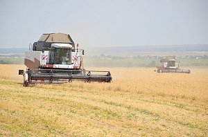 Более 30% зерновых уже собрали в Черноморском районе