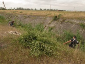 В Крыму проходят субботники по уборке водоемов