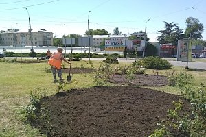 Более 10 тыс. саженцев цветов появятся на клумбах в столице Крыма до середины июля