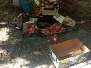 В ходе очередного рейда у стихийщиков в Симферополе изъято 100 кг овощей и фруктов