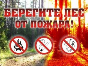 В западных районах Крыма сохранится высокая пожарная опасность до 10 июля