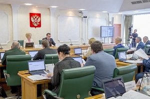 Владимир Константинов принял участие в заседании Президиума Совета законодателей Федерального Собрания Российской Федерации