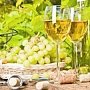 В Коктебеле пройдёт второй винно-гастрономический фестиваль In Vino Veritas
