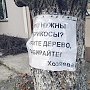 Абрикосовое дерево самообслуживания появилось в столице Крыма