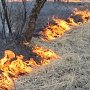 В восточных районах Крыма объявлена чрезвычайная пожароопасность