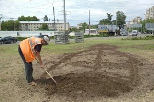 Большая пчела из пяти тысяч цветов появится завтра на клумбе посреди площади Московской в столице Крыма