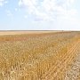Уборочная акция ранних зерновых в Черноморском районе выходит на финишную прямую
