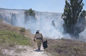 Крымские огнеборцы с начала месяца потушили сотню возгораний сухой травы