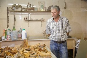 Под Зуей нашли кости мастадонта, носорога, гиены, антилопы и верблюда