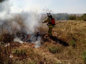 В ближайшие дни в Крыму ожидается высокий пожарный класс опасности