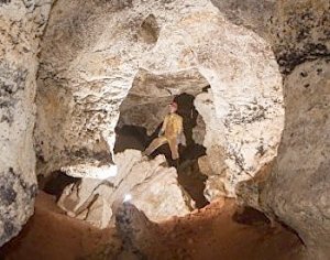 Учёные приступают к исследованиям найденной при строительстве трассы «Таврида» пещеры с останками мамонтов