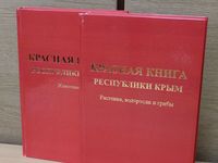 Минприроды Крыма поддерживает инициативу Ялты по вопросу сохранения краснокнижных растений