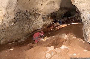 В пещере Таврида нашли кости вымершей саблезубой кошки
