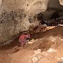 В пещере Таврида нашли кости вымершей саблезубой кошки