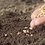 Андрей Рюмшин рекомендовал аграриям более тщательно выбирать сорта семян для проведения озимого сева — 2019
