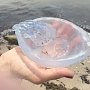 Опасны ли медузы у берегов Крыма?