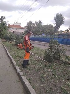 В крымской столице продолжаются работы по содержанию зелёных зон