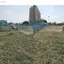 Более 5 га амброзии ликвидировано в крымской столице