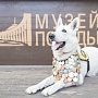 Детей из Крыма приглашают принять участие во всероссийском конкурсе «Портрет фронтовой собаки»