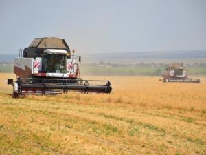 Урожай ранней жатвы в Крыму составил 890 тысяч тонн зерна, — Рюмшин