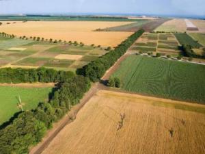 Для проведения сева-2019 в Крыму уже подготовлено 390 тыс. гектаров полей, — Минсельхоз Крыма