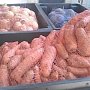 В Крыму началась уборка картофеля и овощей