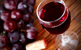 Севастопольских студентов будут обучать лучшим практикам виноградарства и виноделия