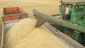 Крым повременит с экспортом зерна