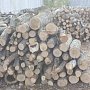 Ежегодно в Крыму заготавливают порядка 50 тыс. кубометров дров