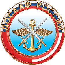 ДОСААФ стало основным субъектом военно-патриотического воспитания в России