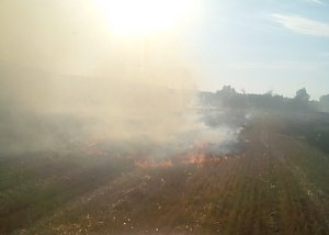 С начала лета крымские спасатели ликвидировали более 300 загораний сухой травы