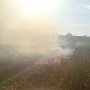 С начала лета крымские спасатели ликвидировали более 300 загораний сухой травы