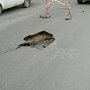 Фирма-подрядчик работ по ремонту на Толстого в столице Крыма устранит последствия обвала на дороге