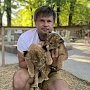 Два малыша-львенка появились в Бахчисарайском зоопарке
